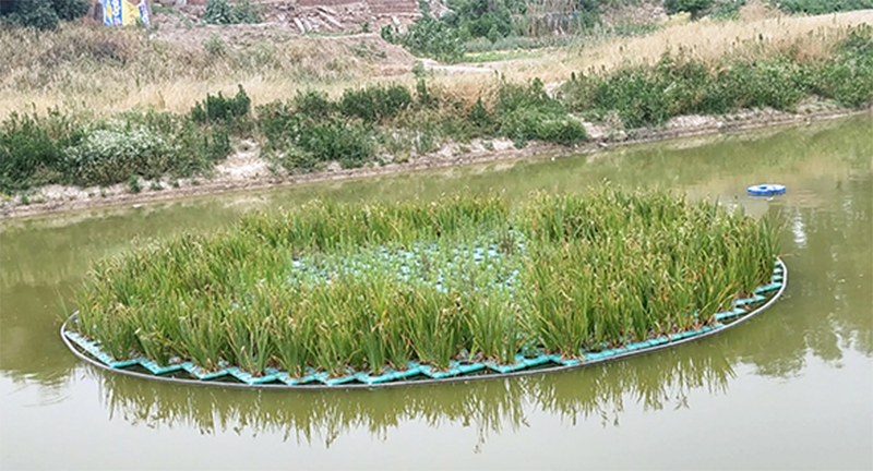 河道治理污水处理设备现场